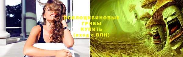 шишки Балабаново
