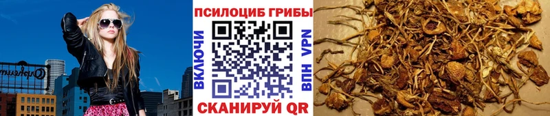 Галлюциногенные грибы Magic Shrooms  купить   Черноголовка 